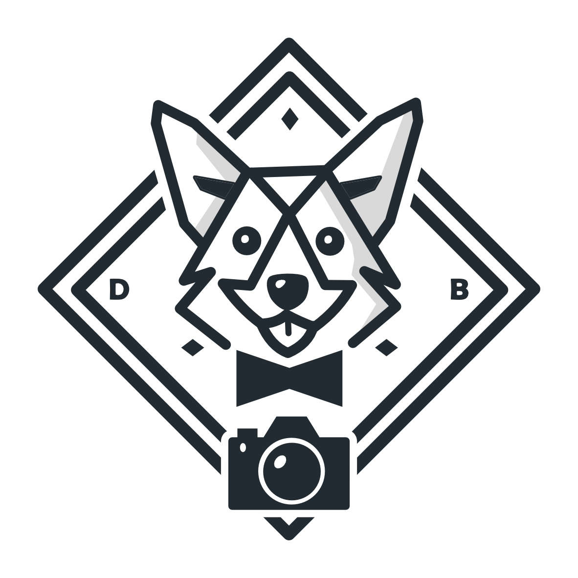 Picturefox